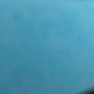 Meet your Posher, Cory